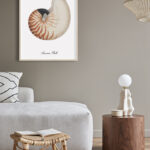 Ilustración vintage de concha de nautilus