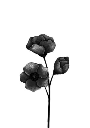 Flor minimalista en blanco y negro