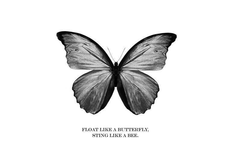 Mariposa artística en blanco y negro