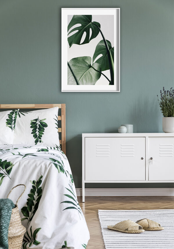 Hojas de monstera con fondo minimalista