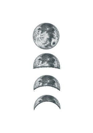 Ilustración de las fases de la luna