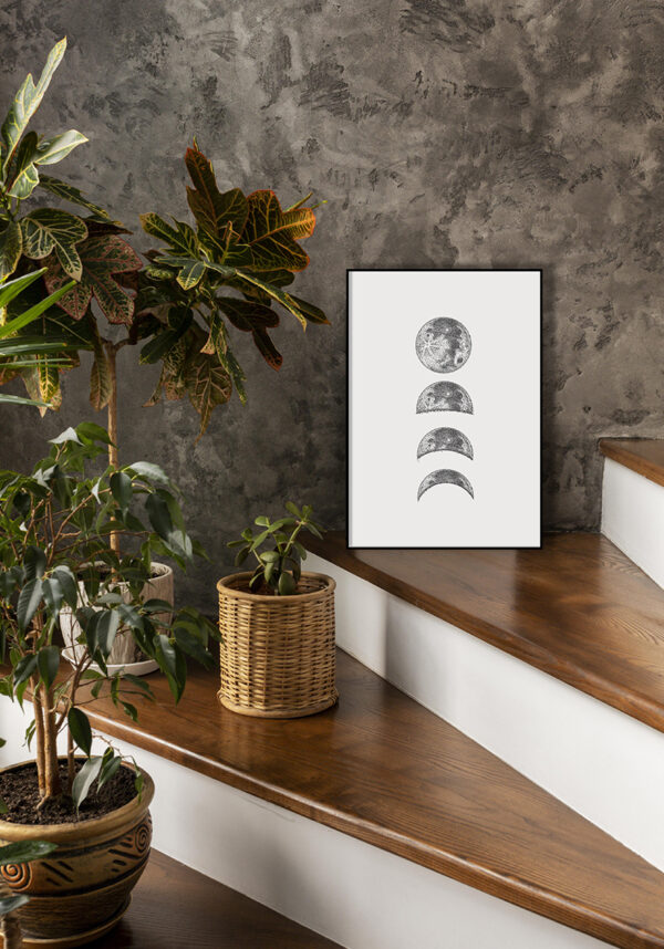 Ilustración de las fases de la luna