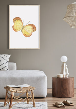 Ilustración de mariposa naranja en acuarela