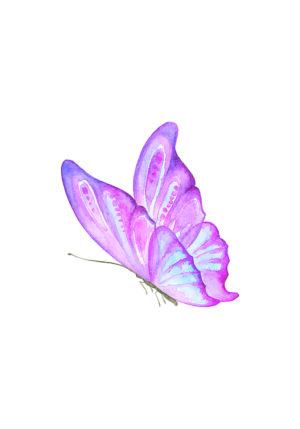 Ilustración de mariposa rosa en acuarela