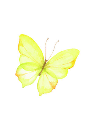 Arte de mariposa amarilla en acuarela