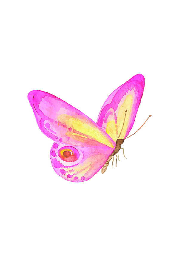 Arte de mariposa rosa en acuarela