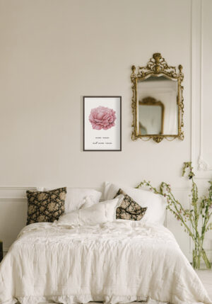 Ilustración elegante de rosa rosa