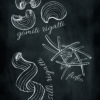 Ilustraciones de pasta en estilo pizarra