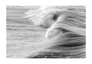 Ola oceánica dinámica en blanco y negro