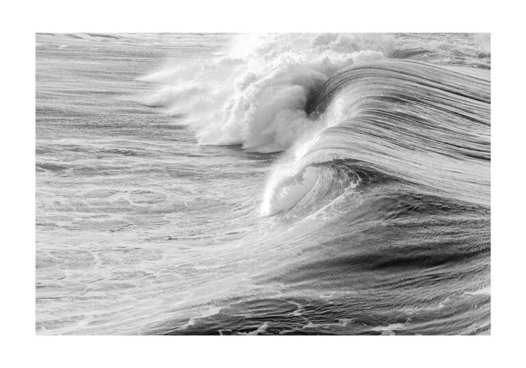 Ola oceánica dinámica en blanco y negro
