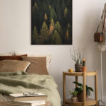 Bosque denso con colores otoñales