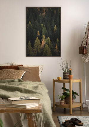 Bosque denso con colores otoñales