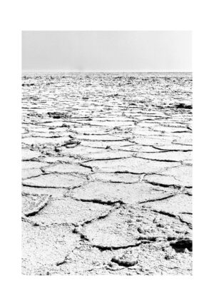 Tierra árida agrietada bajo la luz del sol
