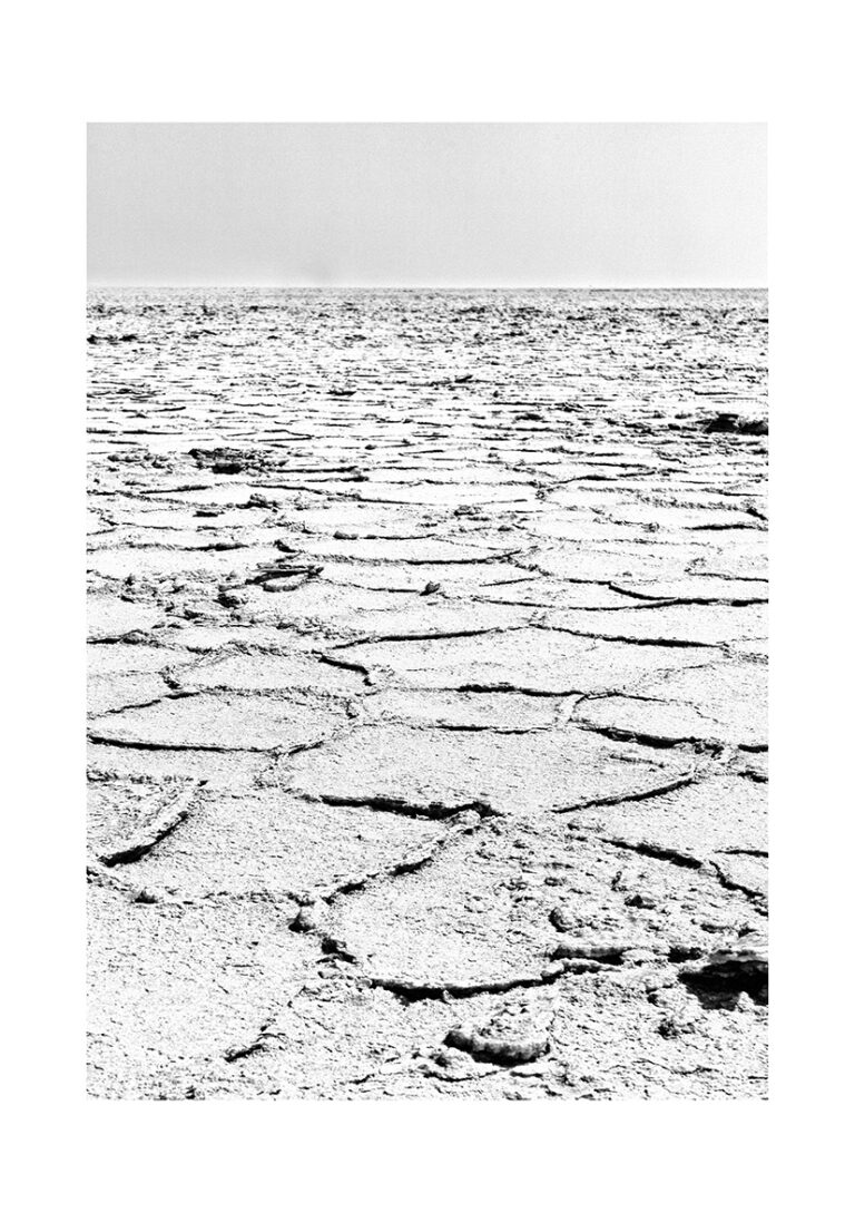 Tierra árida agrietada bajo la luz del sol