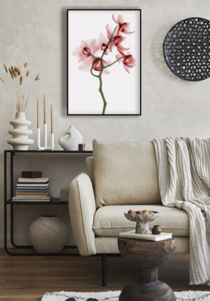Orquídea en estilo de rayos X