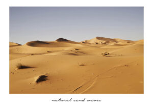 Dunas de arena doradas bajo un cielo despejado