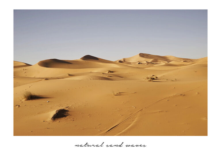 Dunas de arena doradas bajo un cielo despejado