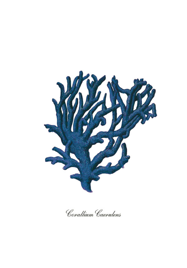 Ilustración natural de coral azul