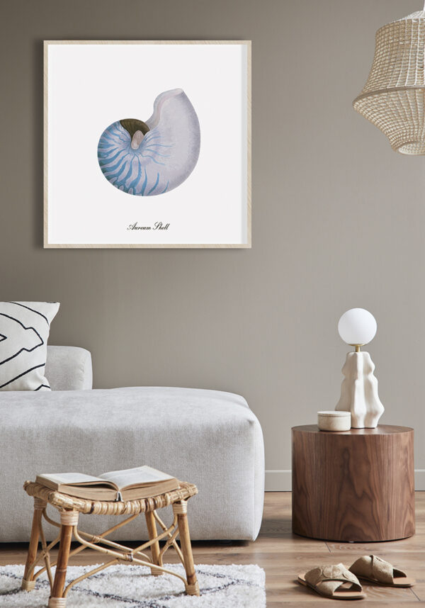 Diseño de concha inspirado en nautilus