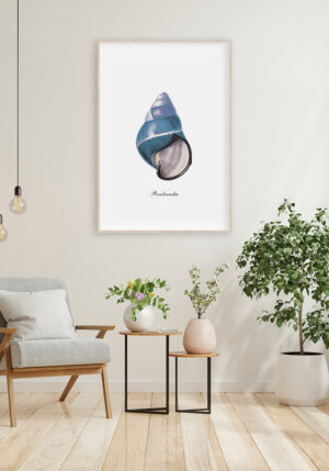 Pieza artística elegante con concha marina