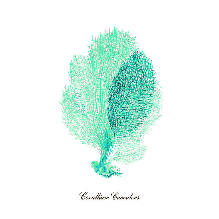 Ilustración intrincada de coral azul