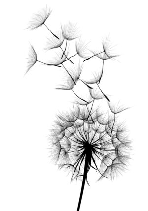 Arte de silueta de diente de león abstracto