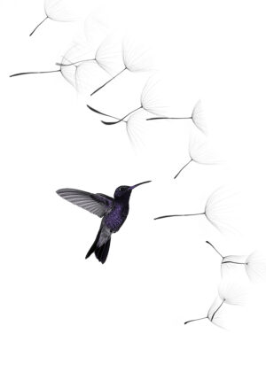 Composición artística de colibrí y diente de león