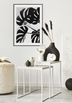 Arte botánico minimalista en blanco y negro