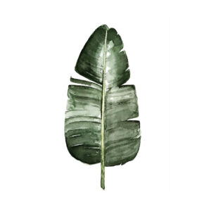 Pintura en acuarela de hoja tropical verde