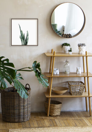 Diseño de sansevieria en tonos verdes