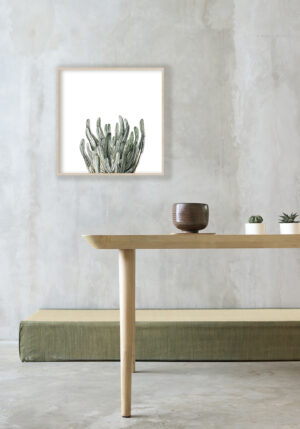 Ilustración de cactus en acuarela sobre fondo blanco