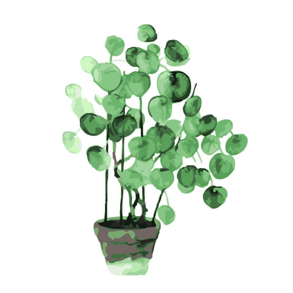 Ilustración abstracta de planta en maceta