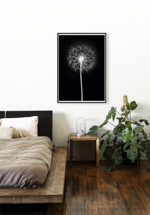Diente de león elegante en blanco y negro
