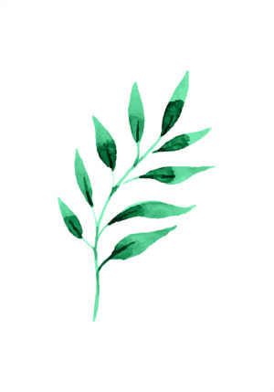 Hoja verde minimalista en acuarela