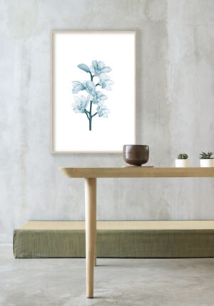 Ilustración artística de orquídea azul