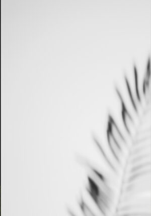 Foto abstracta minimalista de la naturaleza