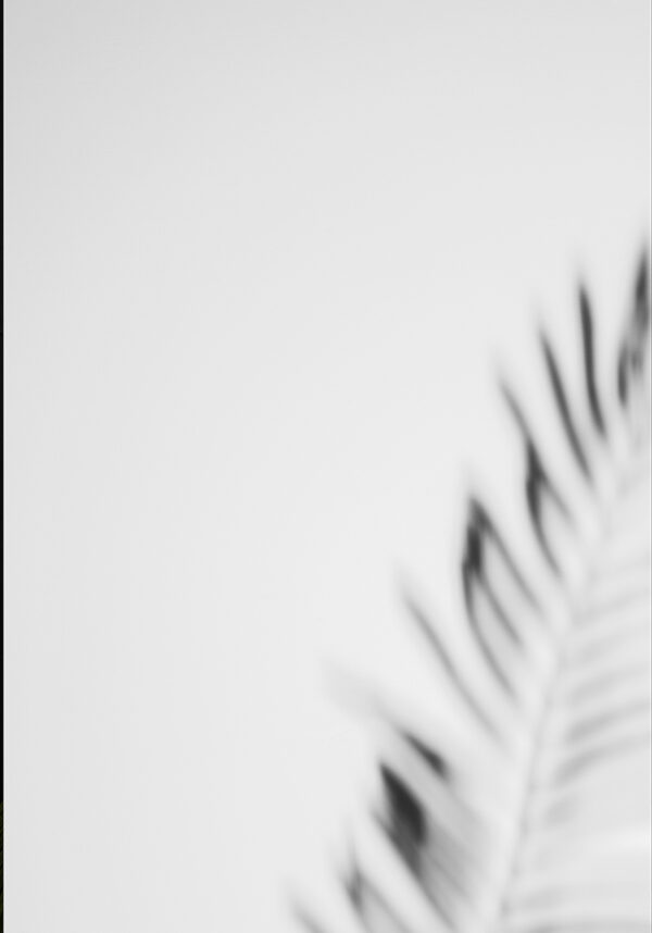 Foto abstracta minimalista de la naturaleza