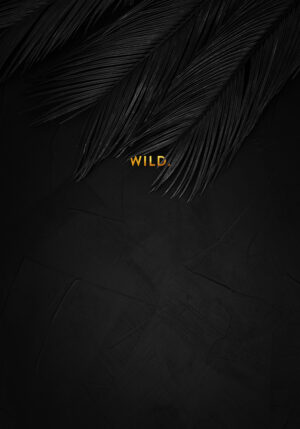 Elegantes hojas de palmera con textura oscura