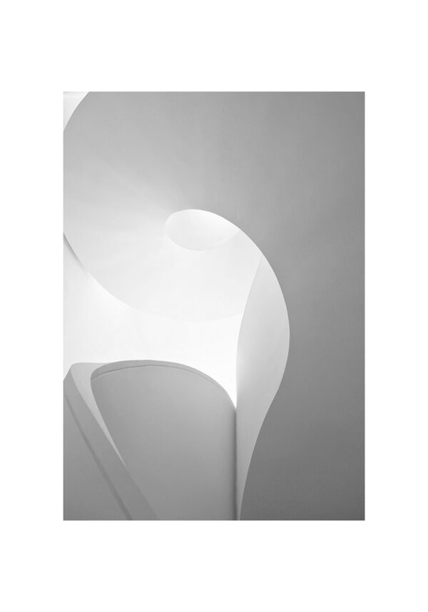Composición blanca minimalista abstracta