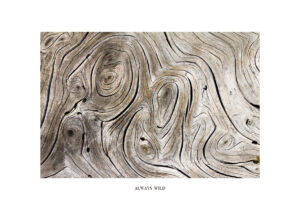 Diseño de textura con patrón de madera abstracta