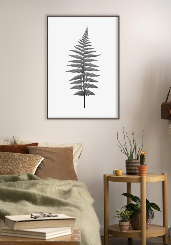 Helecho minimalista en blanco y negro
