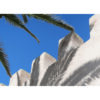 Sombras de palmera sobre pared arquitectónica