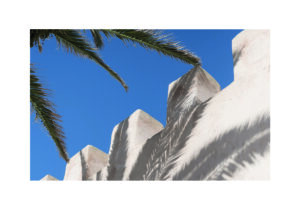 Sombras de palmera sobre pared arquitectónica