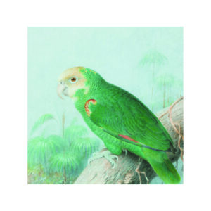 Pintura detallada de loro tropical