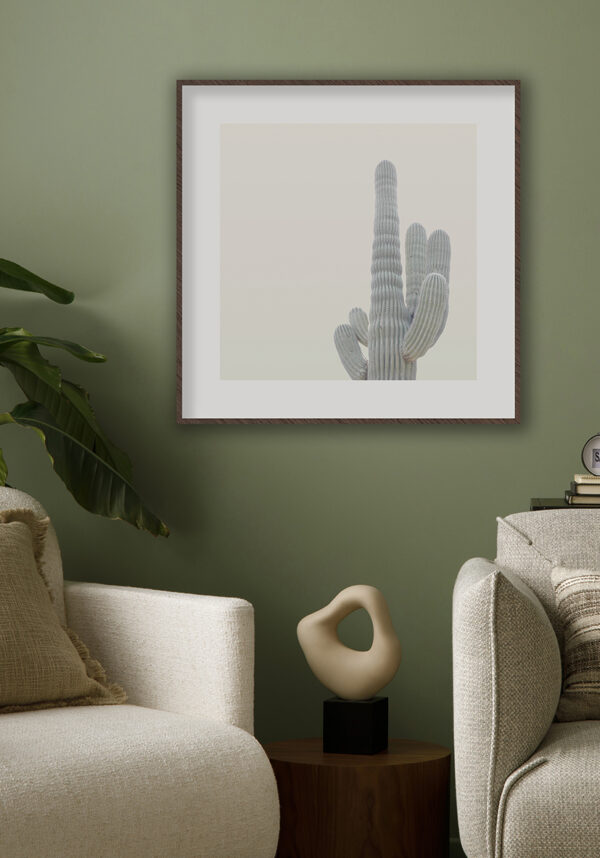 Cactus minimalista con fondo neutro