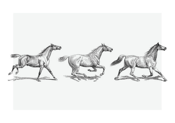 Ilustración grabada de caballos corriendo