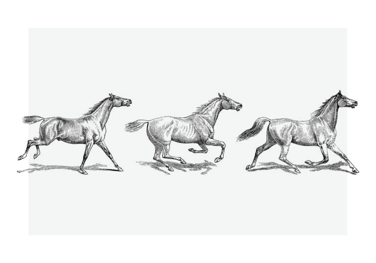 Ilustración grabada de caballos corriendo