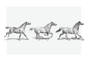 Ilustración grabada de caballos corriendo