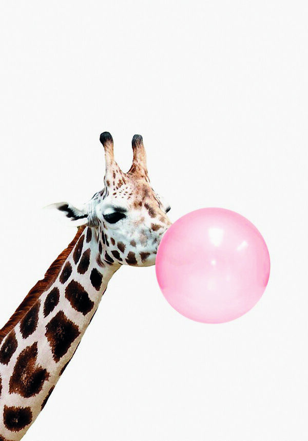 Jirafa haciendo una burbuja de chicle