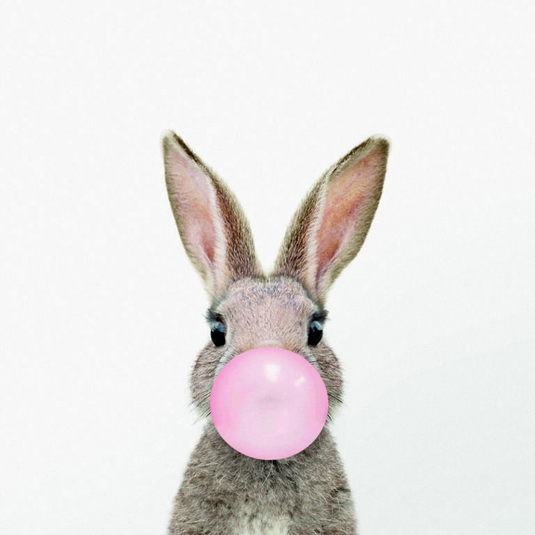 Conejo soplando globo rosa